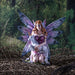 Figurine of fairy in pink dress with blue and purple wings holding a white unicorn goal with gold horn while sitting in flower studded grass