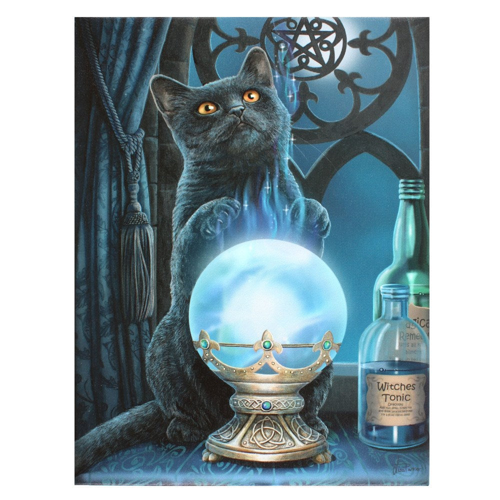 Canvas art print by Lisa Parker of black cat with crystal ball and potions