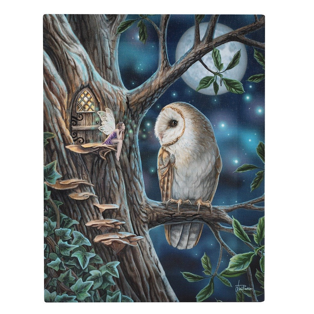Canvas art print by Lisa Parker - fairy sitting on mushroom on tree next to door in the trunk, gazing at an owl under a full moon