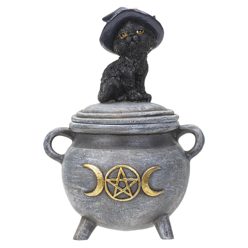 Trinket box of a gray cauldron with gold moon and pentagram, and cat in witch hat on the lid