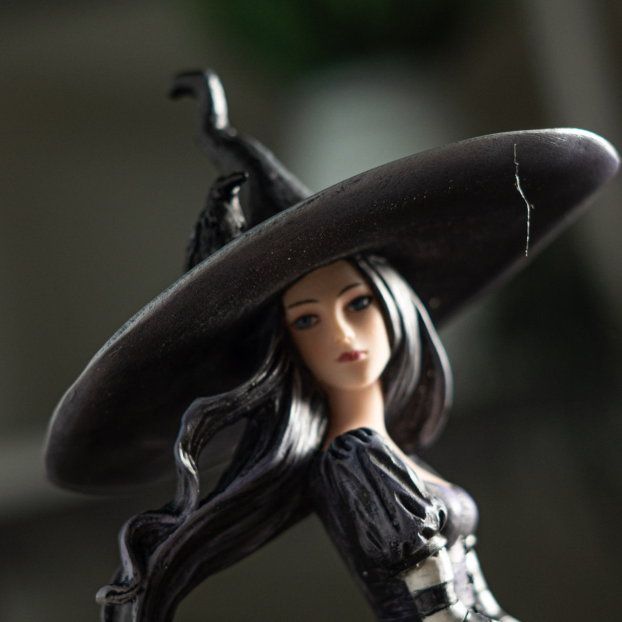 Close up, witch in big hat with raven perched on top