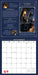 2024 Llewellyn Tarot calendar, November example