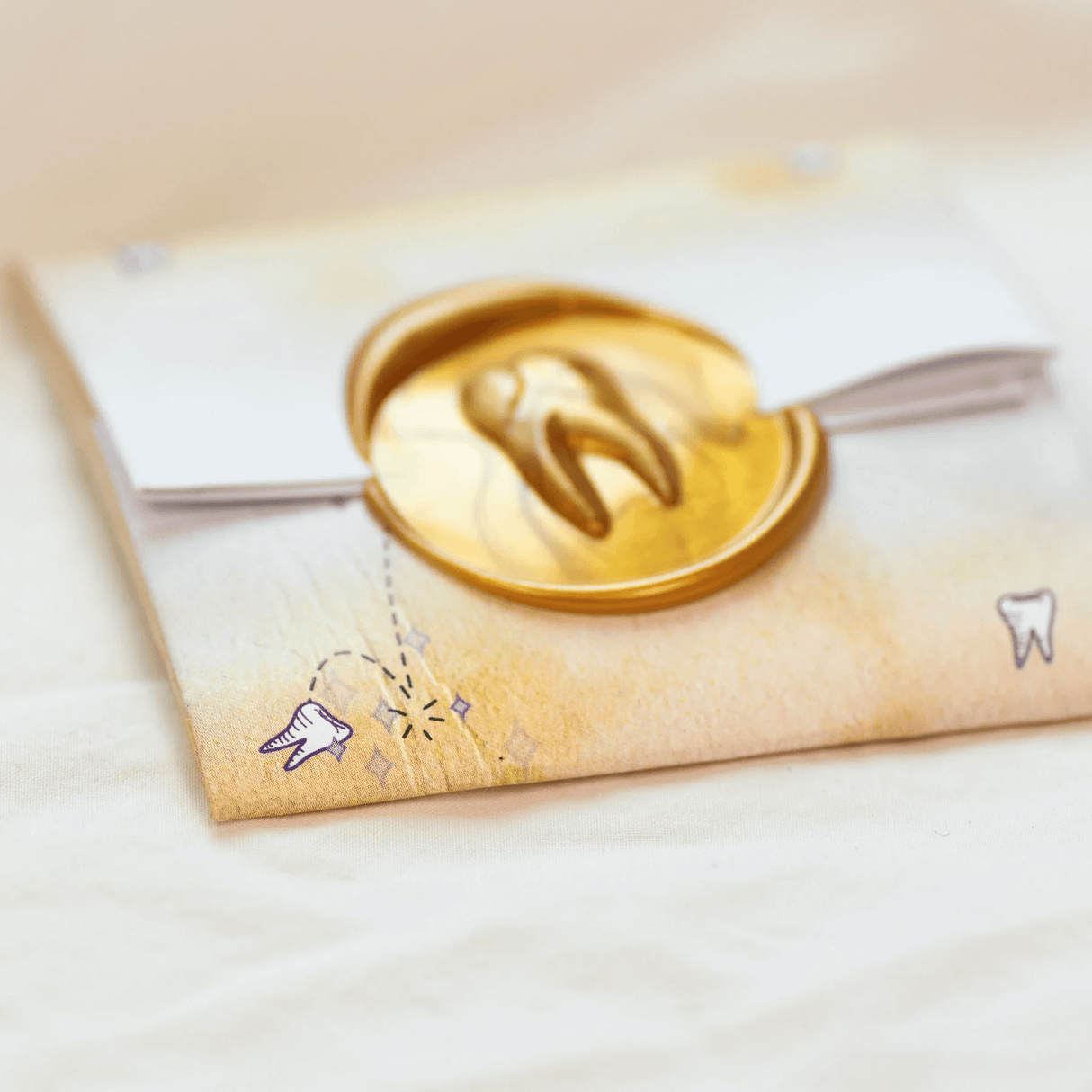 Tooth Fairy Bronze Coins Set