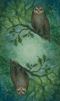 Back of the cards featuring two owls on branches on green/blue background