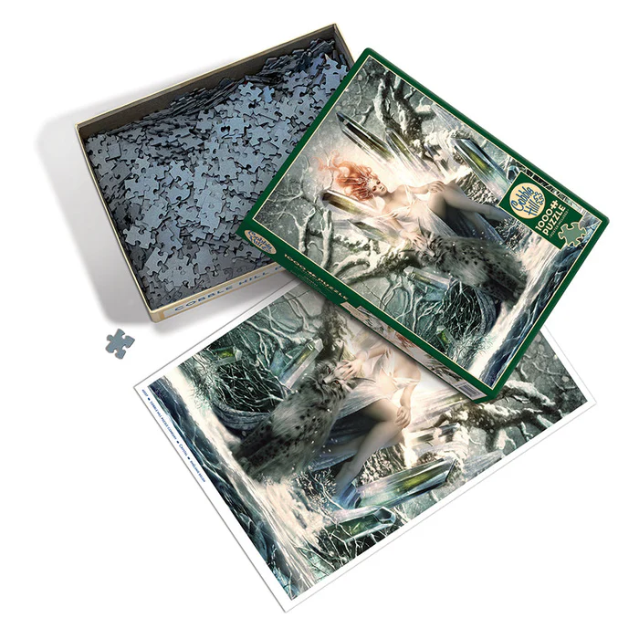 Cobble Hill 1000 Piece puzzle box showing pieces & poster