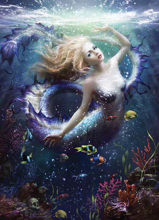 Mermaid surrounded by fish and coral, just about to break the surface of the water