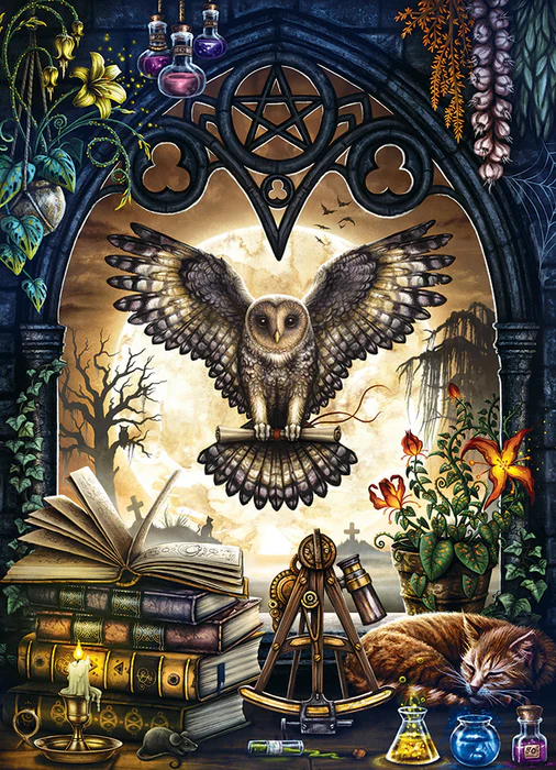 image of owl swooping through open Gothic window holding scroll. Sleeping cat, potion bottles, plants and more around the edges