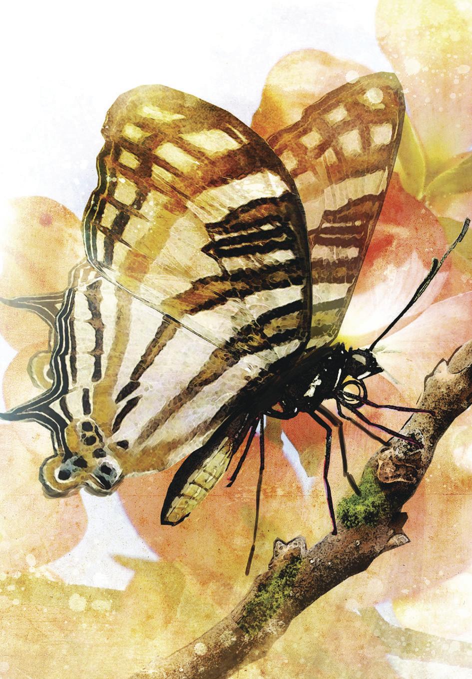 Butterfly card example, striped wings in brown and cream, on branch