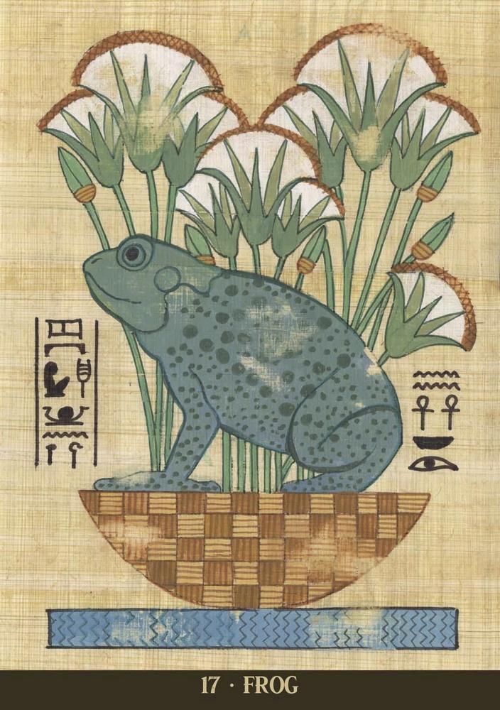 Card example, Decorative illustration of a frog with papyrus plants on a textured background