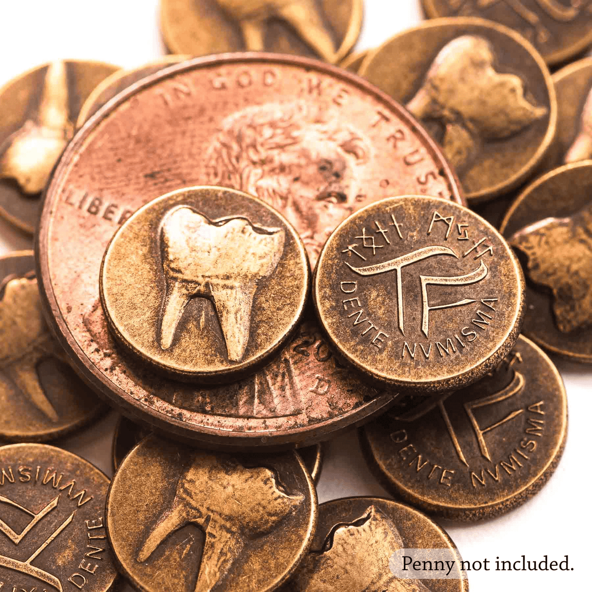 Tooth Fairy Bronze Coins Set