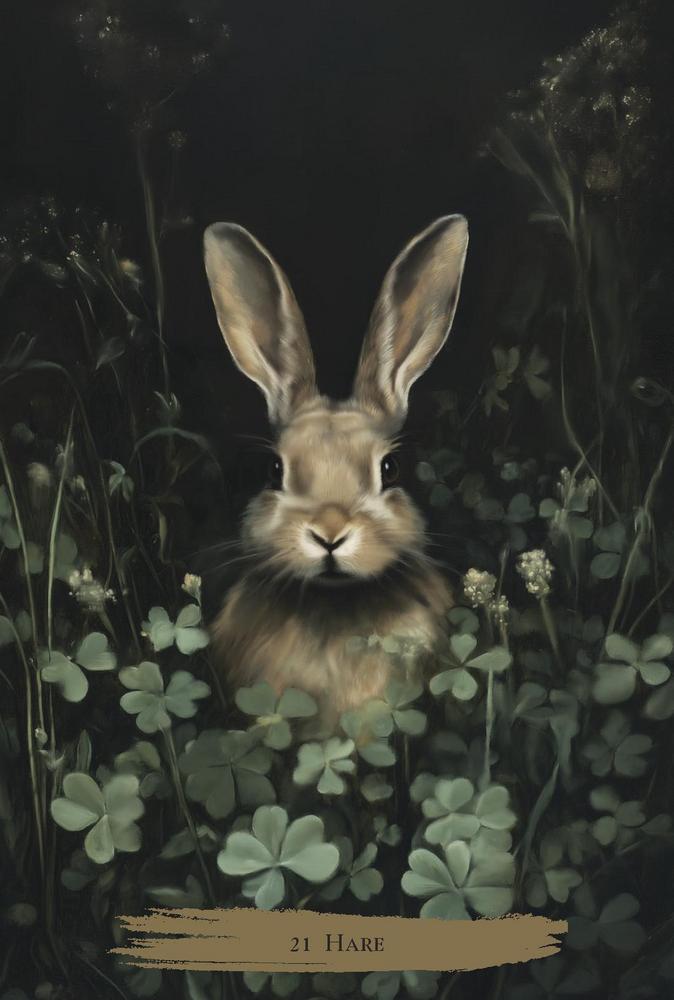 Haunted Cottage oracle deck - 21. Hare card example