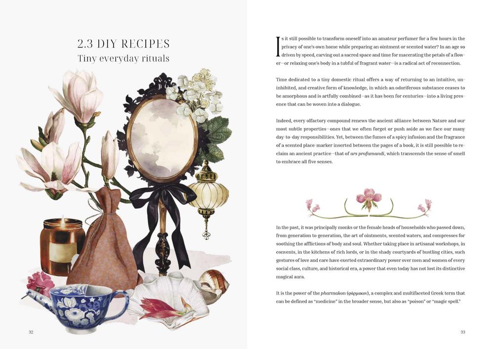 Book sample page: 2.3: DIY Recipes