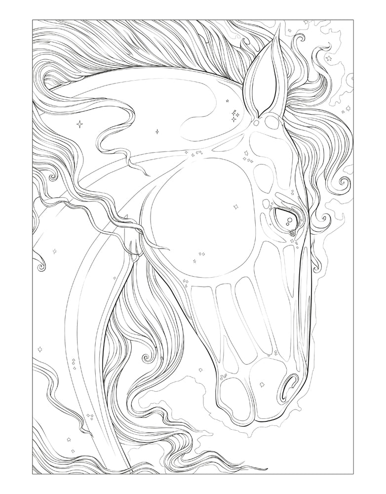 Uncolored page example of horse head
