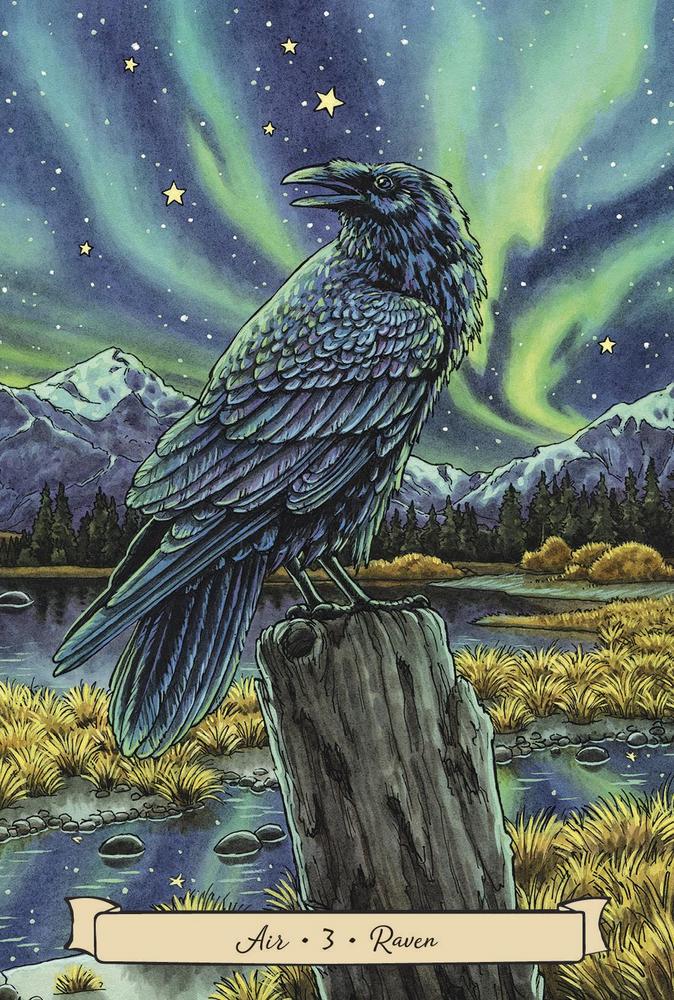 Everyday Witch's Familiars Oracle deck & guidebook, raven card example