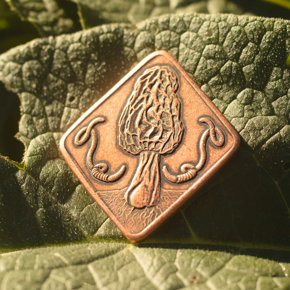 Copper coin featuring a morel mushroom on one side with worms and Fly Agaric on the other