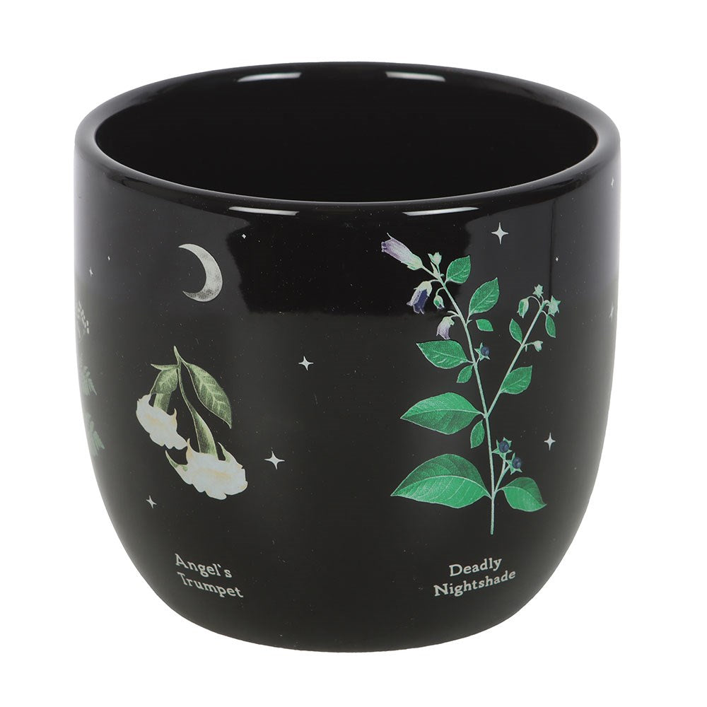 Black planter pot with illustrations of poisonous plants including angel's trumpet and deadly nightshade flowers