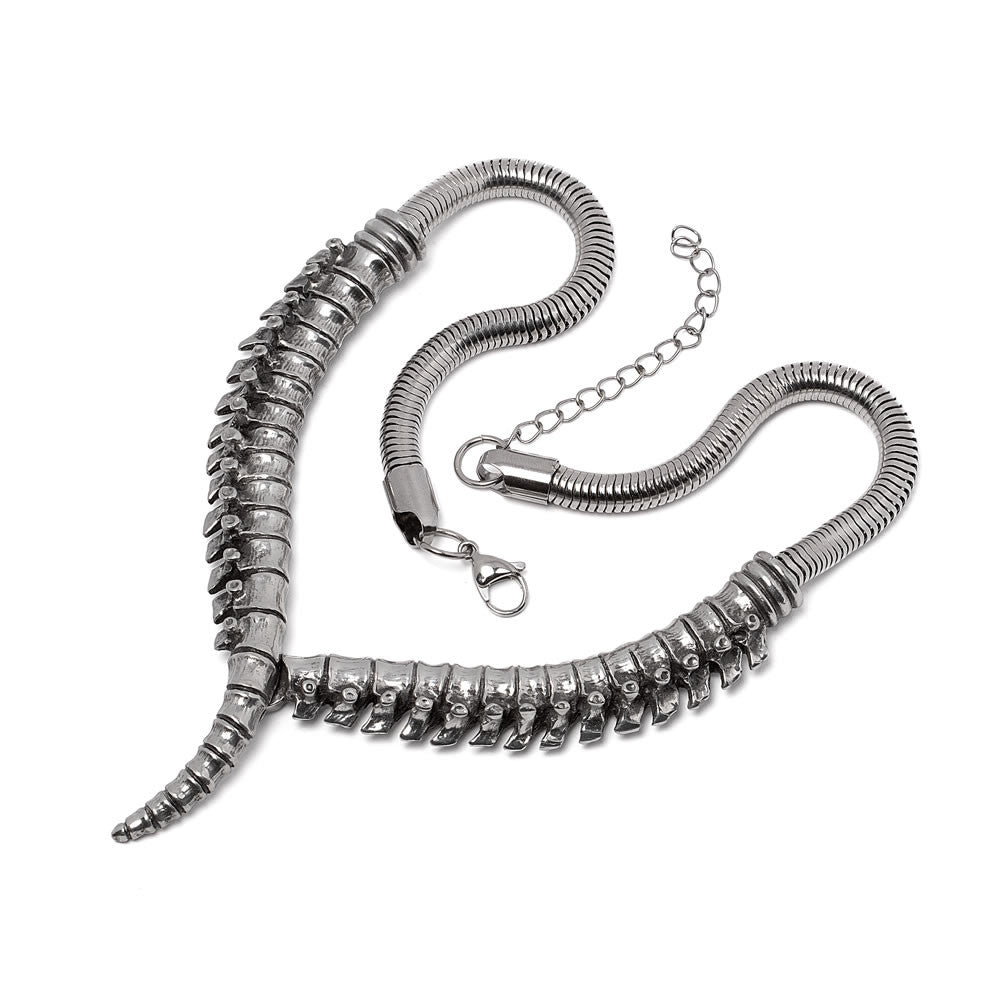 Pewter necklace featuring a human spinal column design
