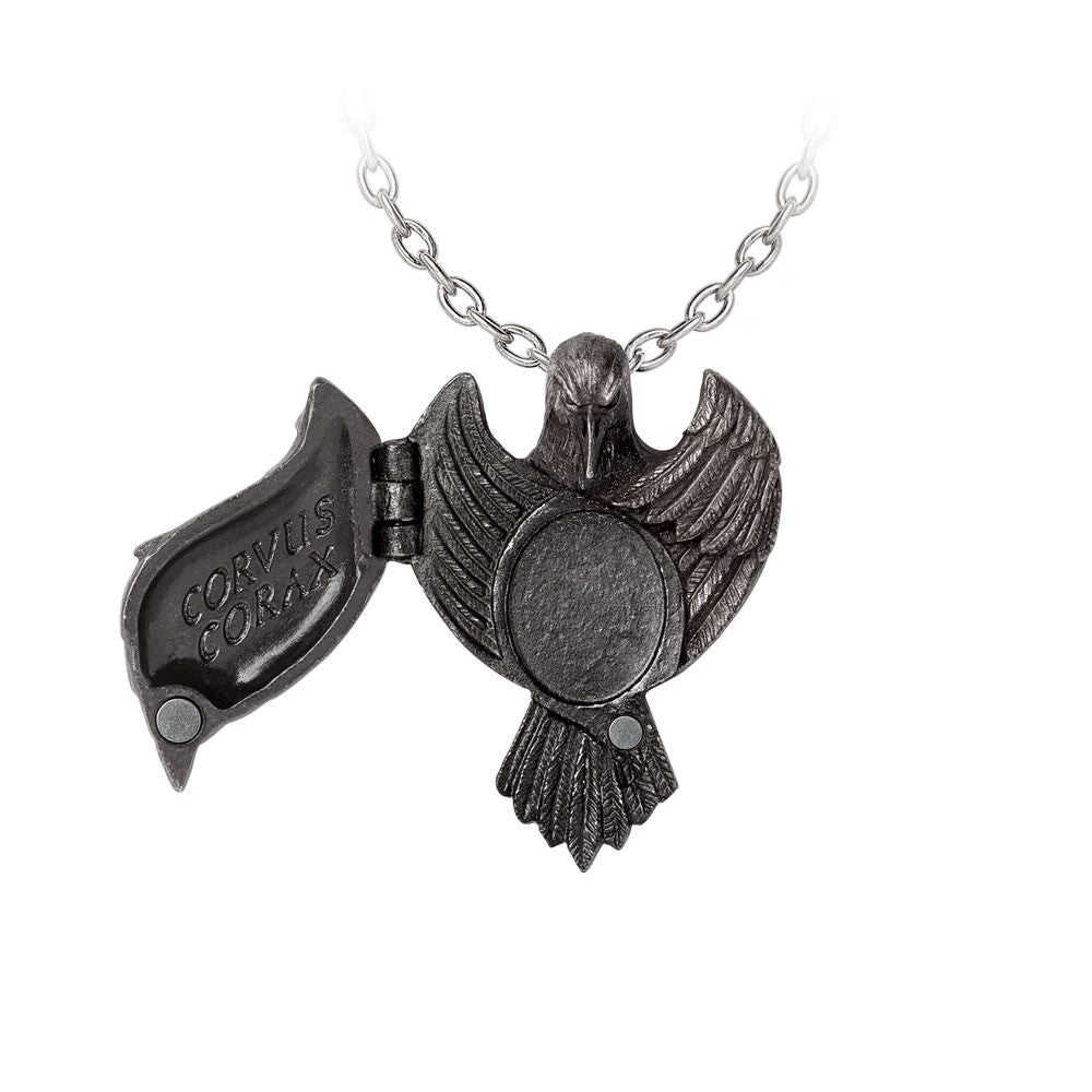 The Augurium Raven Necklace