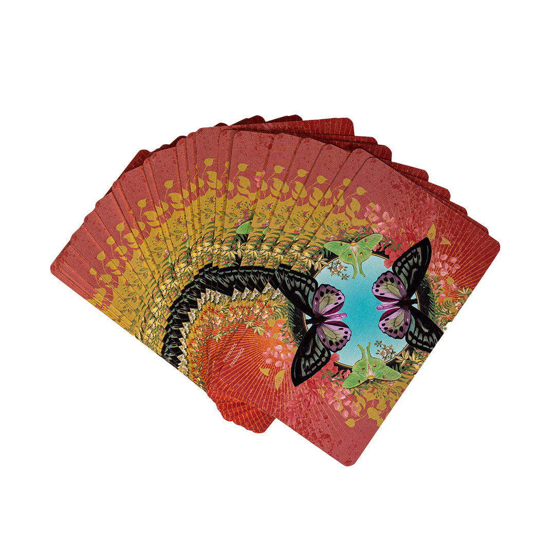 Back of card deck featuring colorful butterfly and luna moth design