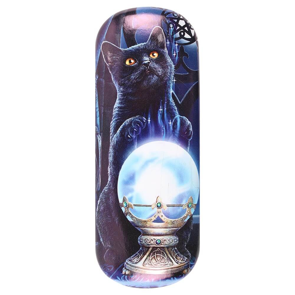 Eyeglass case with black cat and crystal ball