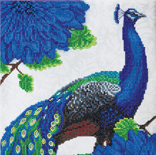 Crystal art craft kit makes this peacock framed print with 5D diamonds. 