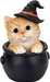 Orange tabby kitten in a witch hat, sitting in a black cauldron