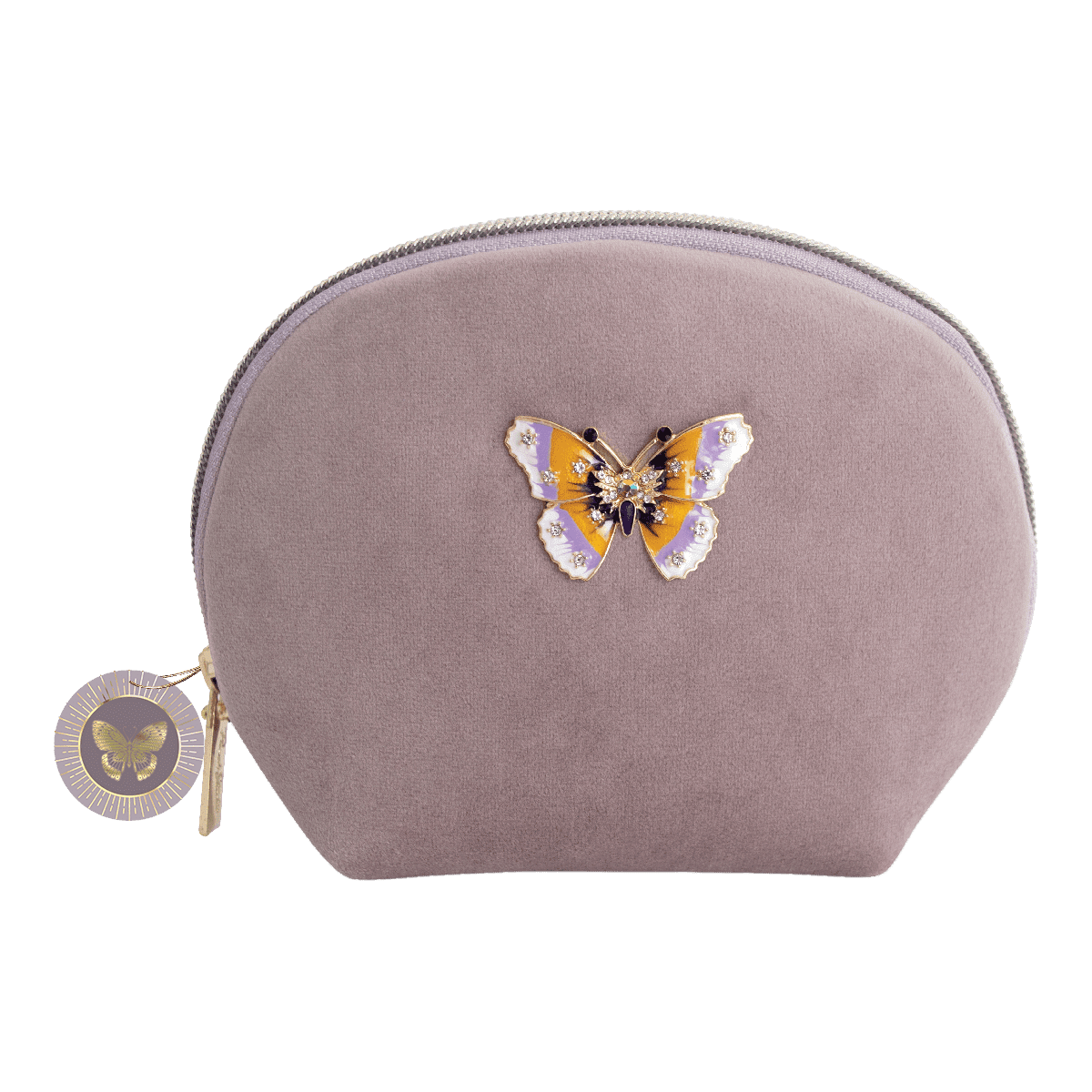 Butterfly Brooch Velvet Bag