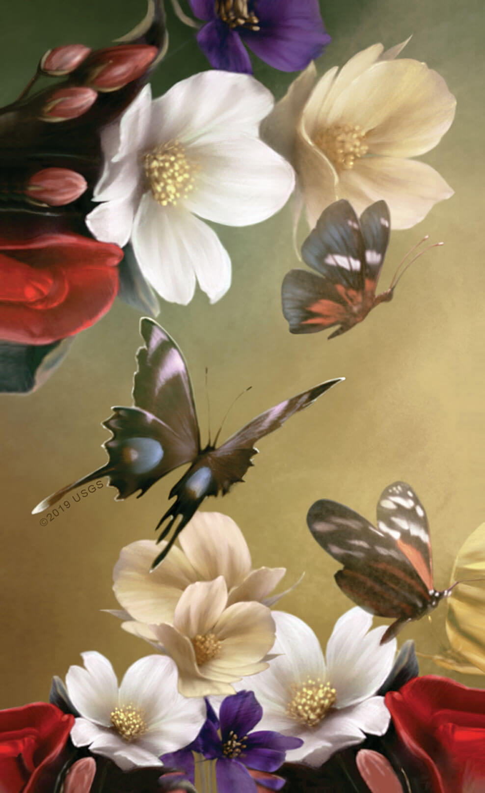 Card back with butterflies and flowers