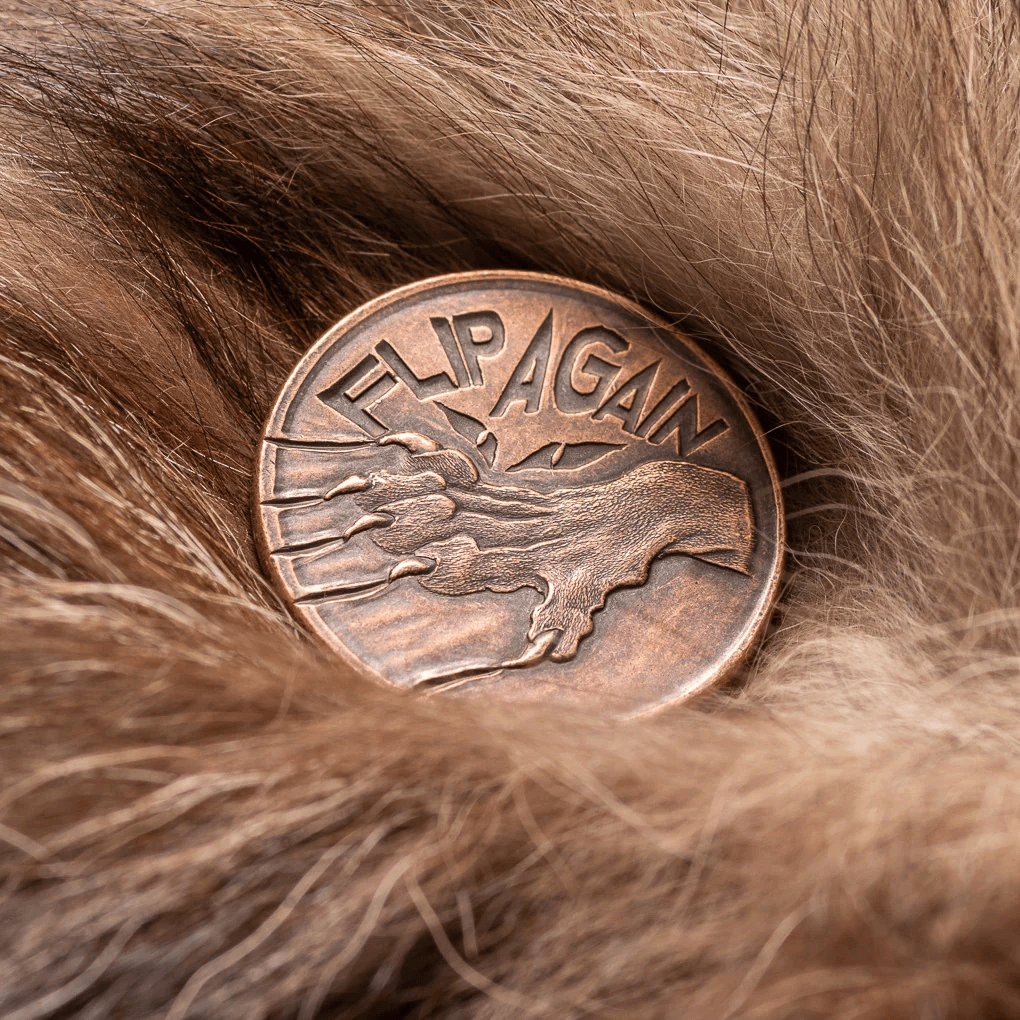 Other side of decision maker coin featuring a cat paw clawing the coin and the text "Flip Again"