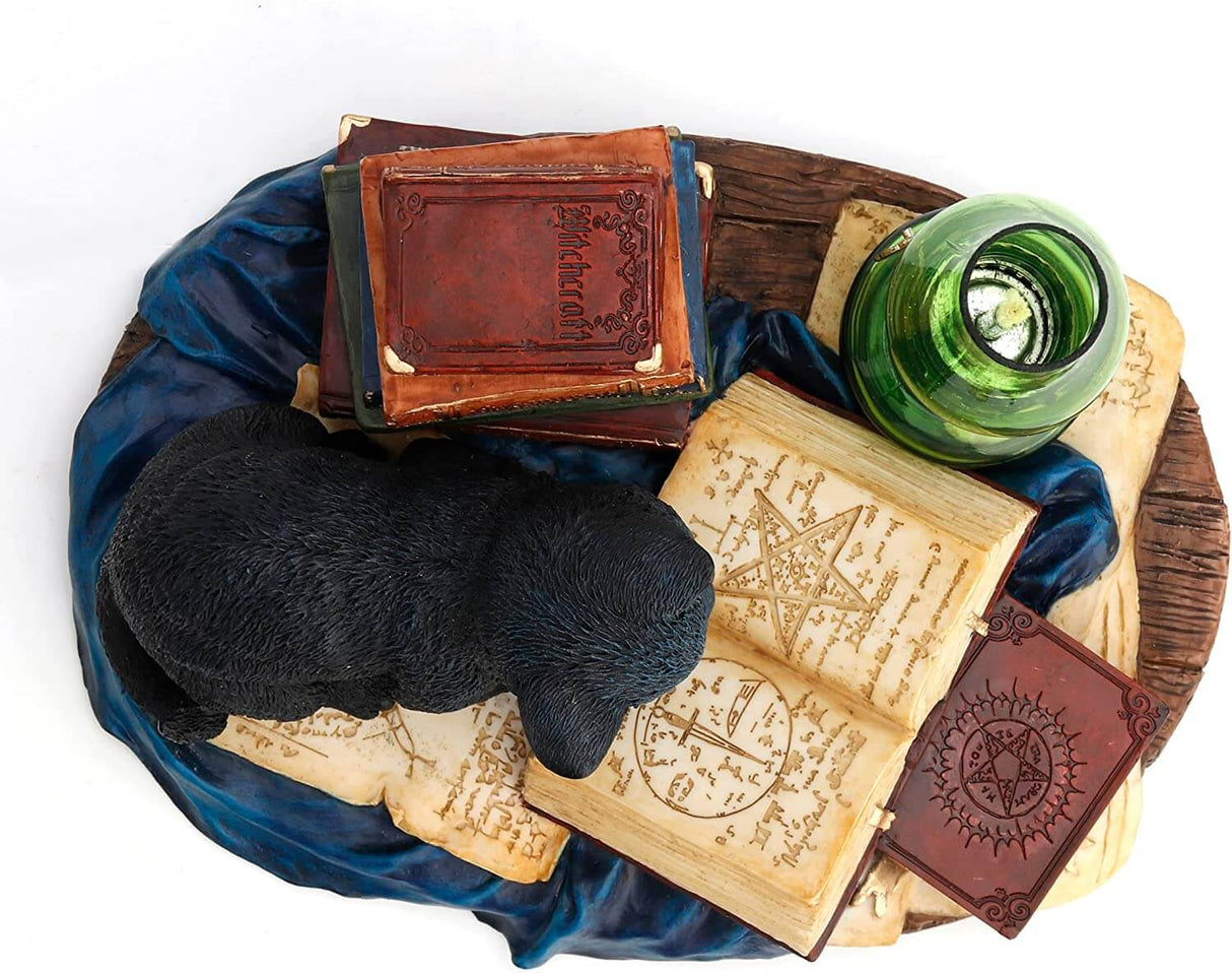 Black cat reading a book next to more tomes and a green lamp. Shown from above looking down at the arcane symbols in the book. The closed book on the stack is titled "Witchcraft"