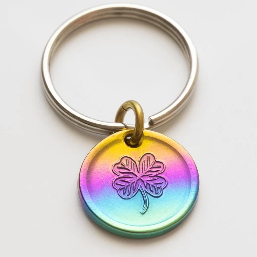 Rainbow lucky coin charm showing clover, on keyring