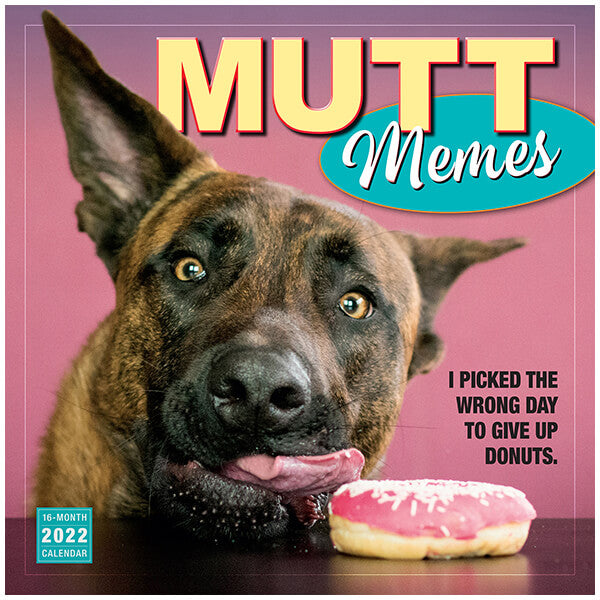 Vintage & Outdated Calendars - Perfect For Crafts!