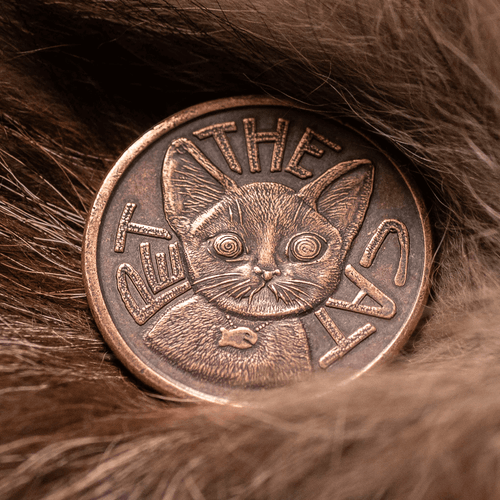 Pet the Cat Decision Maker Coin