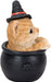 Orange tabby kitten in a witch hat, sitting in a black cauldron, side view
