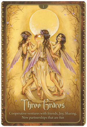 Wild Wisdom of the Faery Oracle Deck