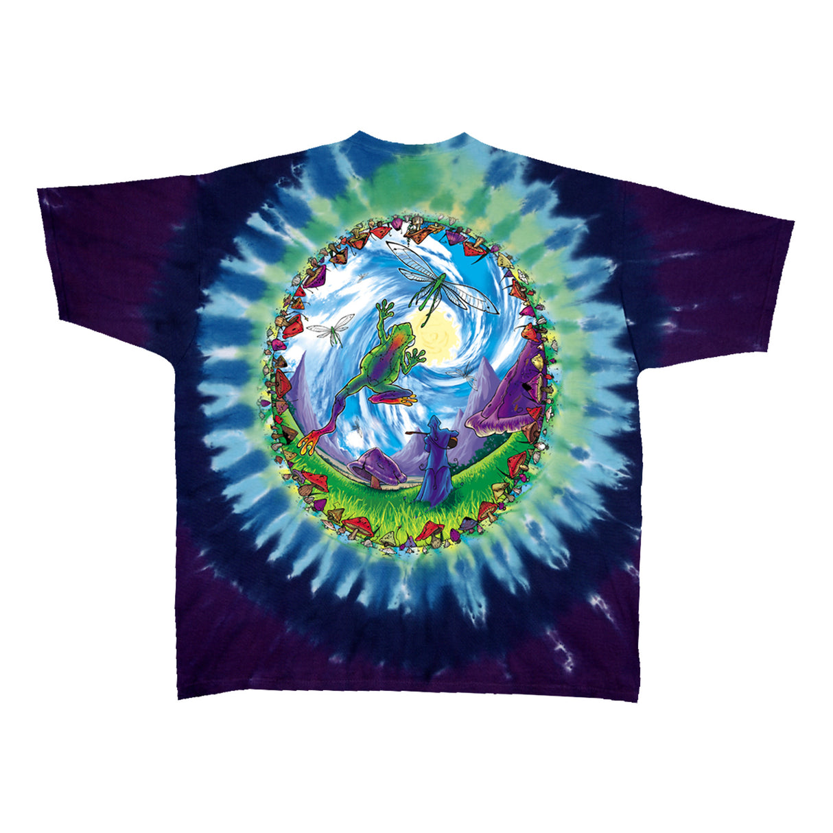 Back of Tie-dye t-shirt with a colorful design of wizard, frog, dragonflies