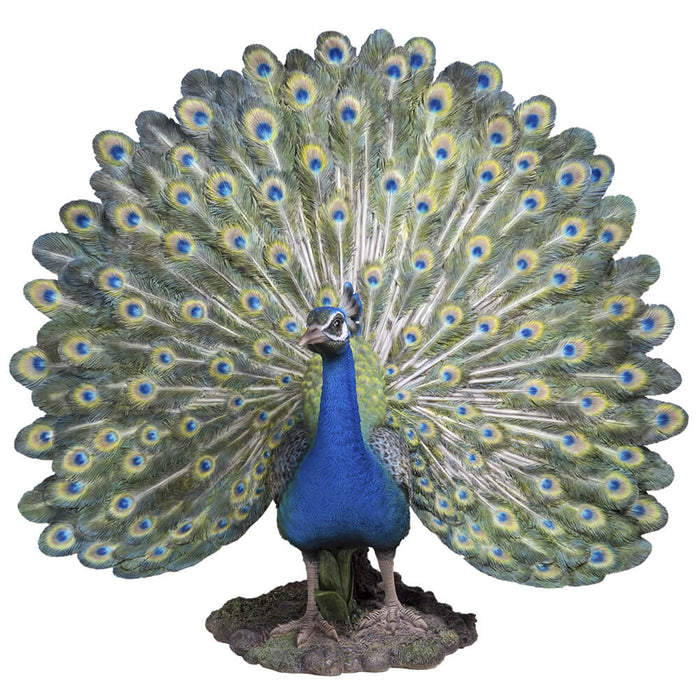 Large detailed peacock statue with open tail and blue body