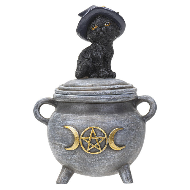 Trinket box of a gray cauldron with gold moon and pentagram, and cat in witch hat on the lid