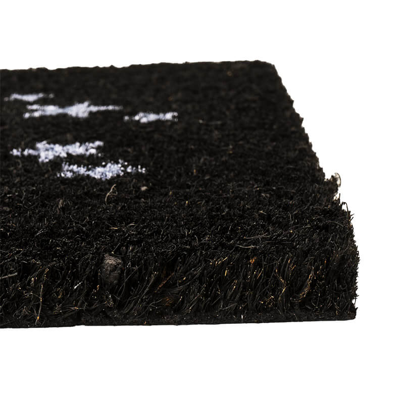 Doormat with coir (coconut fiber) top