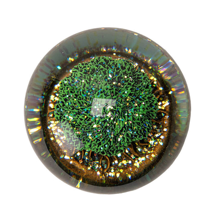 Top down view of water globe showing tree and glitter