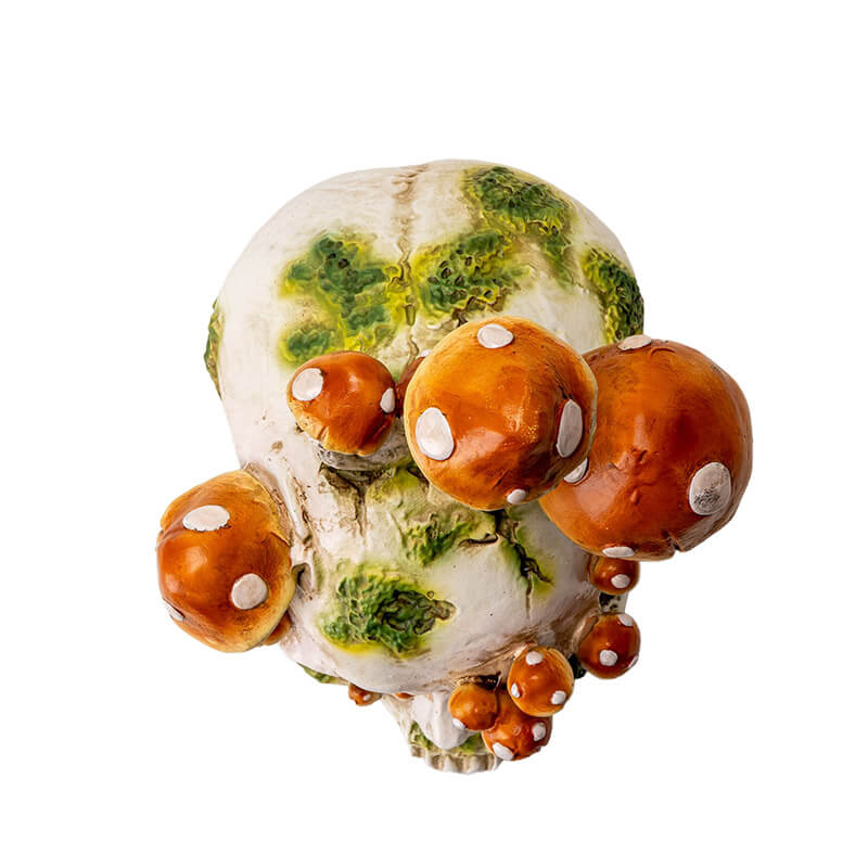 Grinning Skull figurine with mushrooms growing out of it and moss, top down view