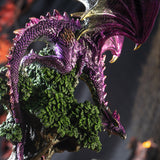 Figurine of a metallic purple dragon perched on a green tree