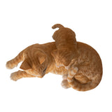 Orange striped mother cat lying down with kitten climbing on, shown top down