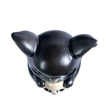 Small figurine of a black dragon imp with pink accents sitting in a cauldron with vines and a skull, shown top down