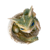 Green baby dragon emerging from an egg, shown top down