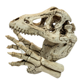 A dinosaur skeleton head toilet paper holder