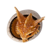 A small orange-brown dragon figurine peeking out of a cracked beige egg, shown top down