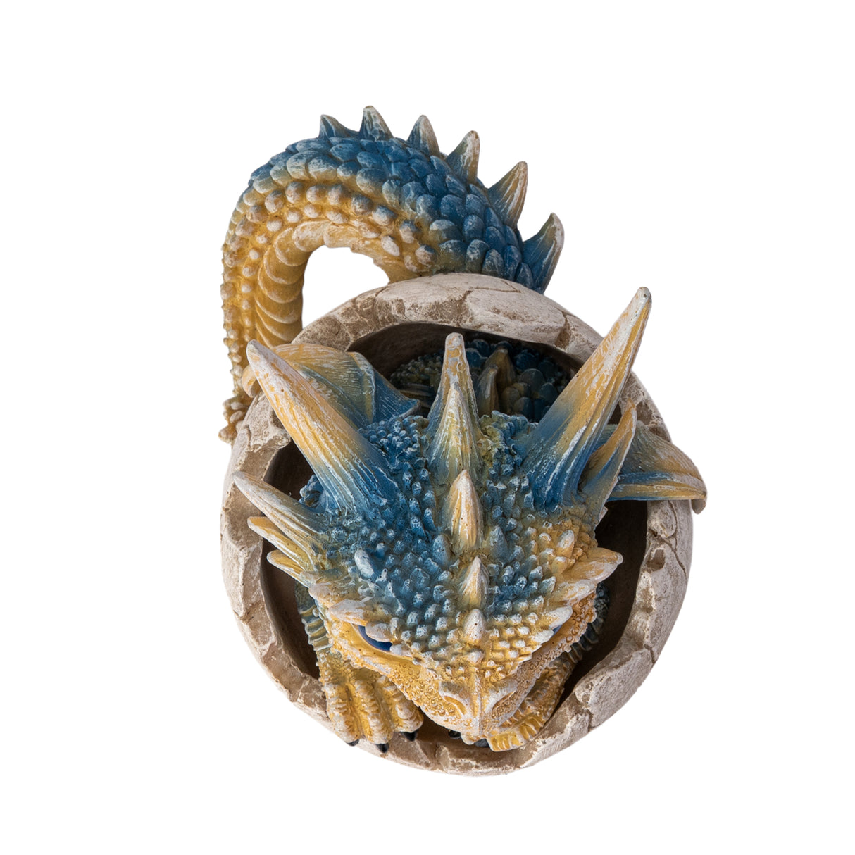 A small fantasy dragon figurine peeking out of a cracked eggshell, shown on a plain white background. The dragon has tan and blue scales, large bright blue eyes, black claws, and small wings. Shown top down