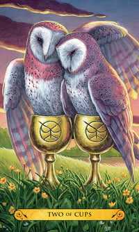 Two of Cups tarot card with two barn owls in chalices