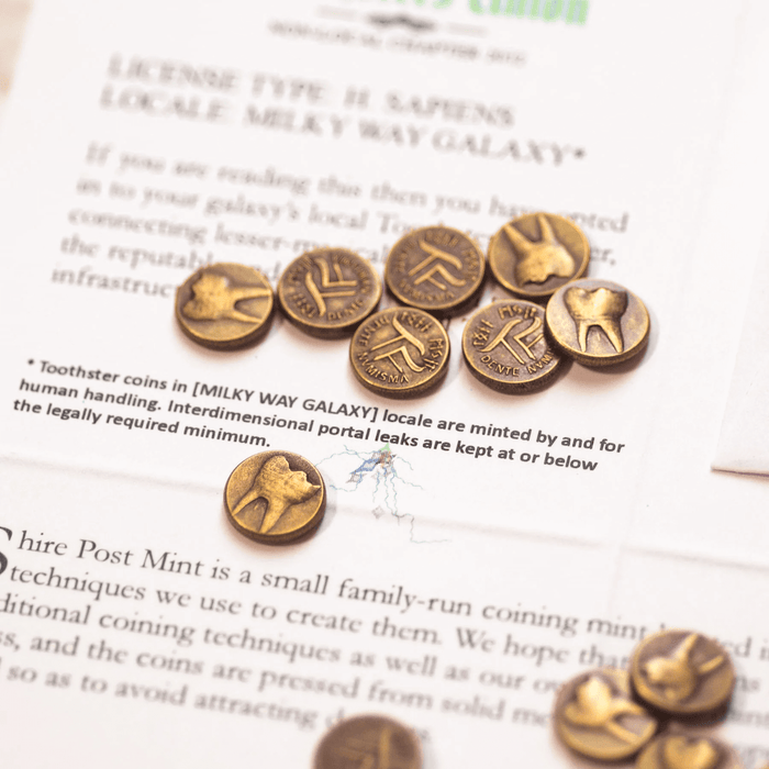 Tooth Fairy Bronze Coins Set
